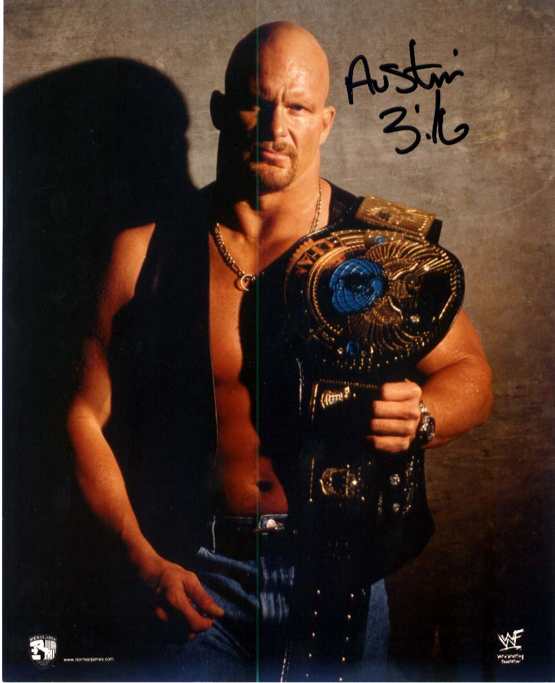 http://www.amorosity.com/SteveAustin/Belt.jpg